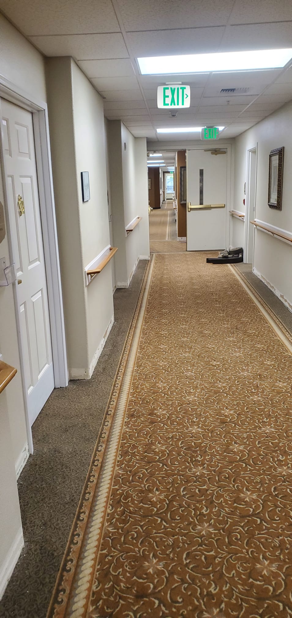Patterned carpet along a commercial hallway