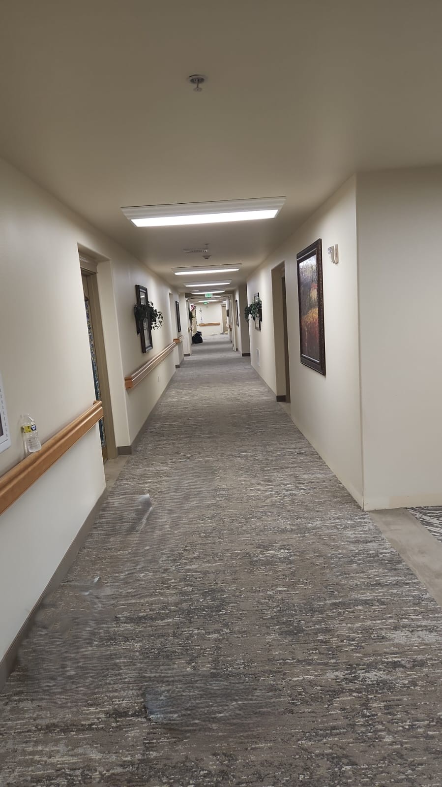 Patterned carpet along a senior living hallway