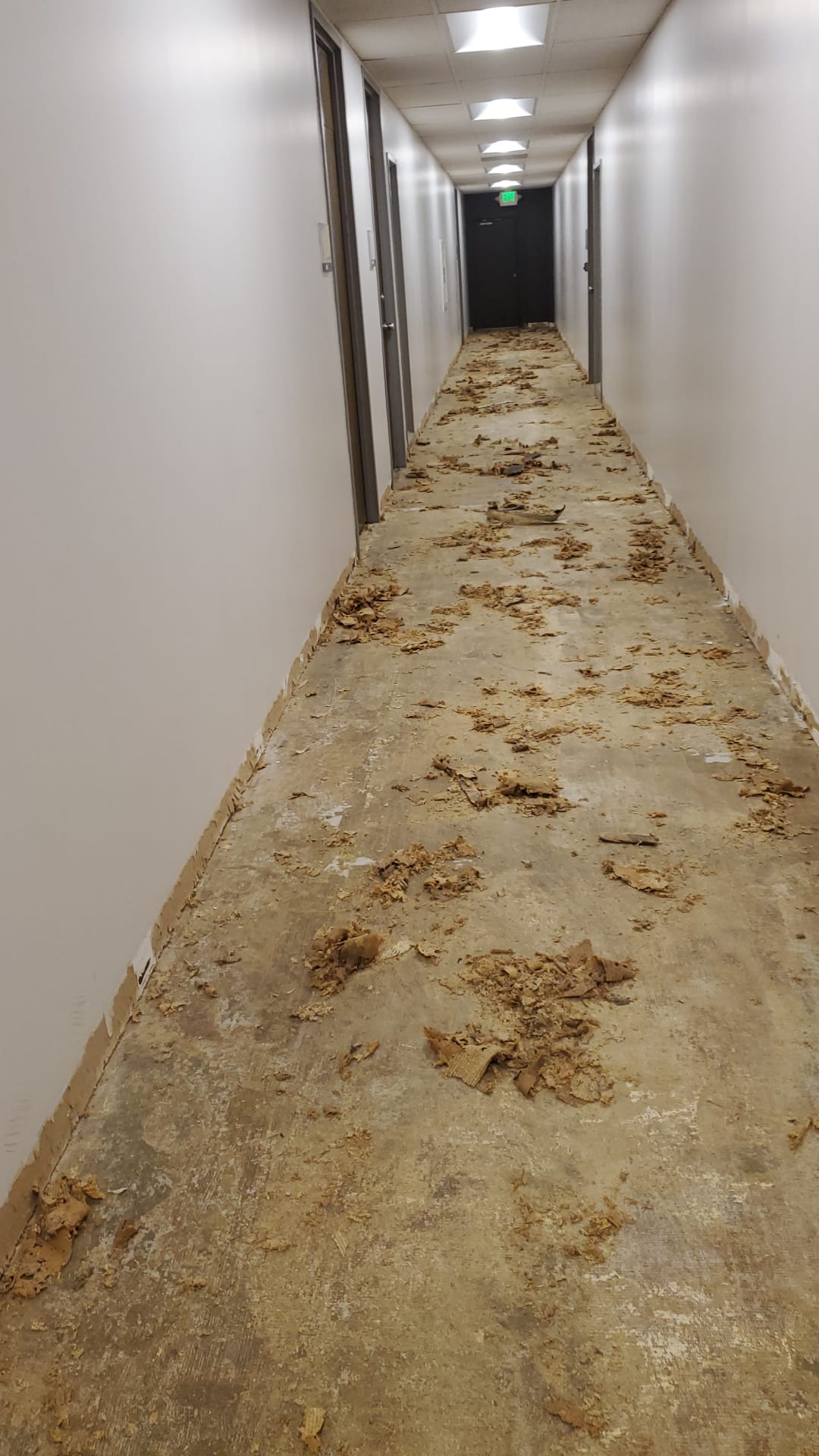 Existing flooring being removed during preparation for a new floor